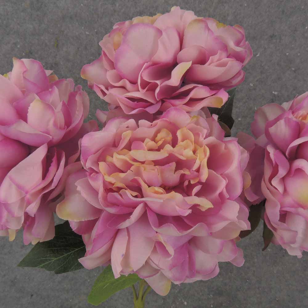 17.5" PEONY BUSH X 5 BEAUTY/CREAM