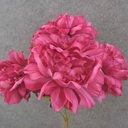 17.5" PEONY BUSH X 5 BEAUTY