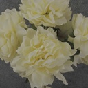 17.5" PEONY BUSH X 5 CREAM