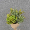 9" MIXED SUCCULENT BOUQUET WITH BURLAP WRAP