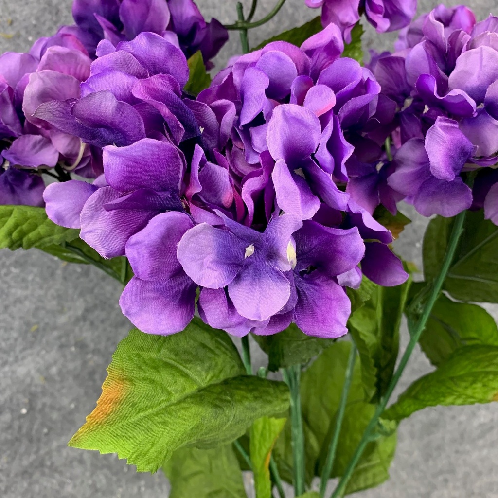 HYDRANGEA BUSH X9 BLOOMS PURPLE