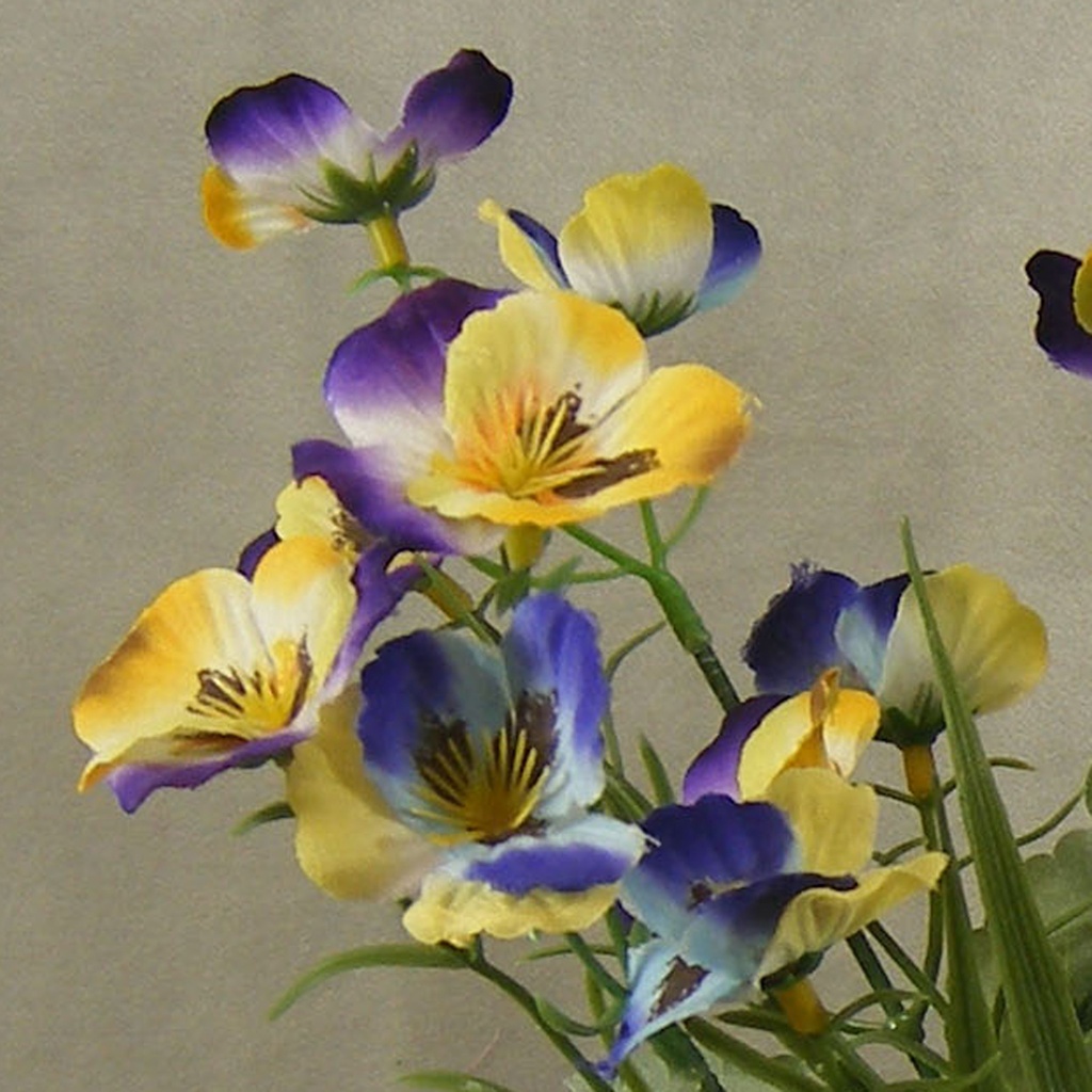 PANSY BUSH X7   16.5"  YELLOW/LAVENDER