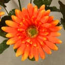 GERBERA SATIN BUSH X9 17"  ORANGE