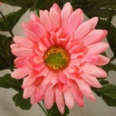 GERBERA SATIN BUSH X9 17"  PINK