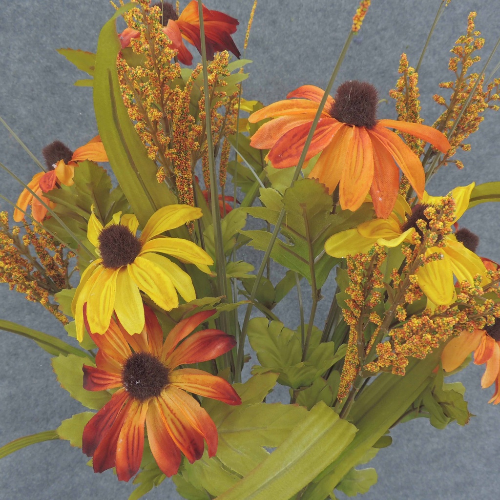 RUDBECKIA BUSH X18 25" W/HEATHER