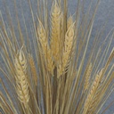 WHEAT/GRASS BUSH X10 25"