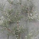 PINE PICK MIX W/ICE 12" 3-AST (12/BAG)