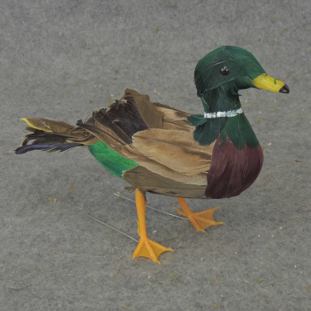 8.5" FEATHERED MALLARD DUCK