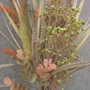 24&quot; MIXED GRASS/FOLIAGE BUNDLE GREEN/RED