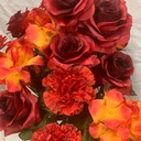 23.5" ROSE/CARN/HYDRANGEA BUSH X21 RED/ORANGE