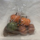 PUMPKIN, GOURD & CONES IN BAG