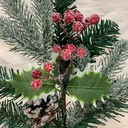 18" SNOWY PINE SPRAY W/ BERRIES