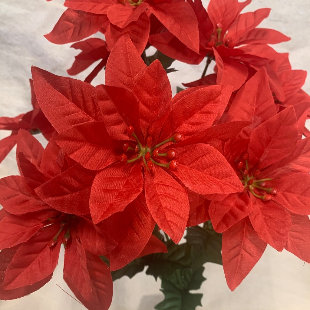 16" POINSETTIA BUSH X9 RED (PONGEE)