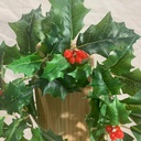 4.5&quot; HOLLY CANDLE RING GREEN
