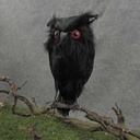 6.5&quot; BLACK OWL ON WIRE FEET
