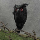 6.5" BLACK OWL ON WIRE FEET