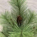 24" PINE STEM W/ CONE