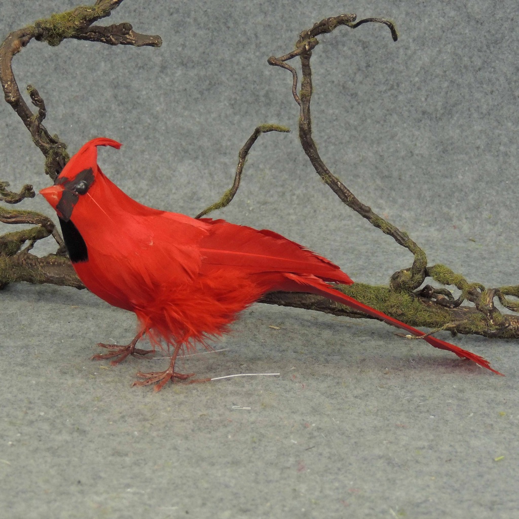 9" SITTING FEATHER CARDINAL