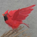 9&quot; FLYING FEATHER CARDINAL