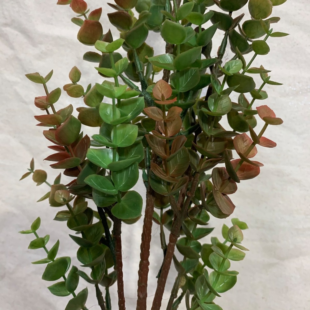 31.5" EUCALYPTUS STEM GREEN/RED