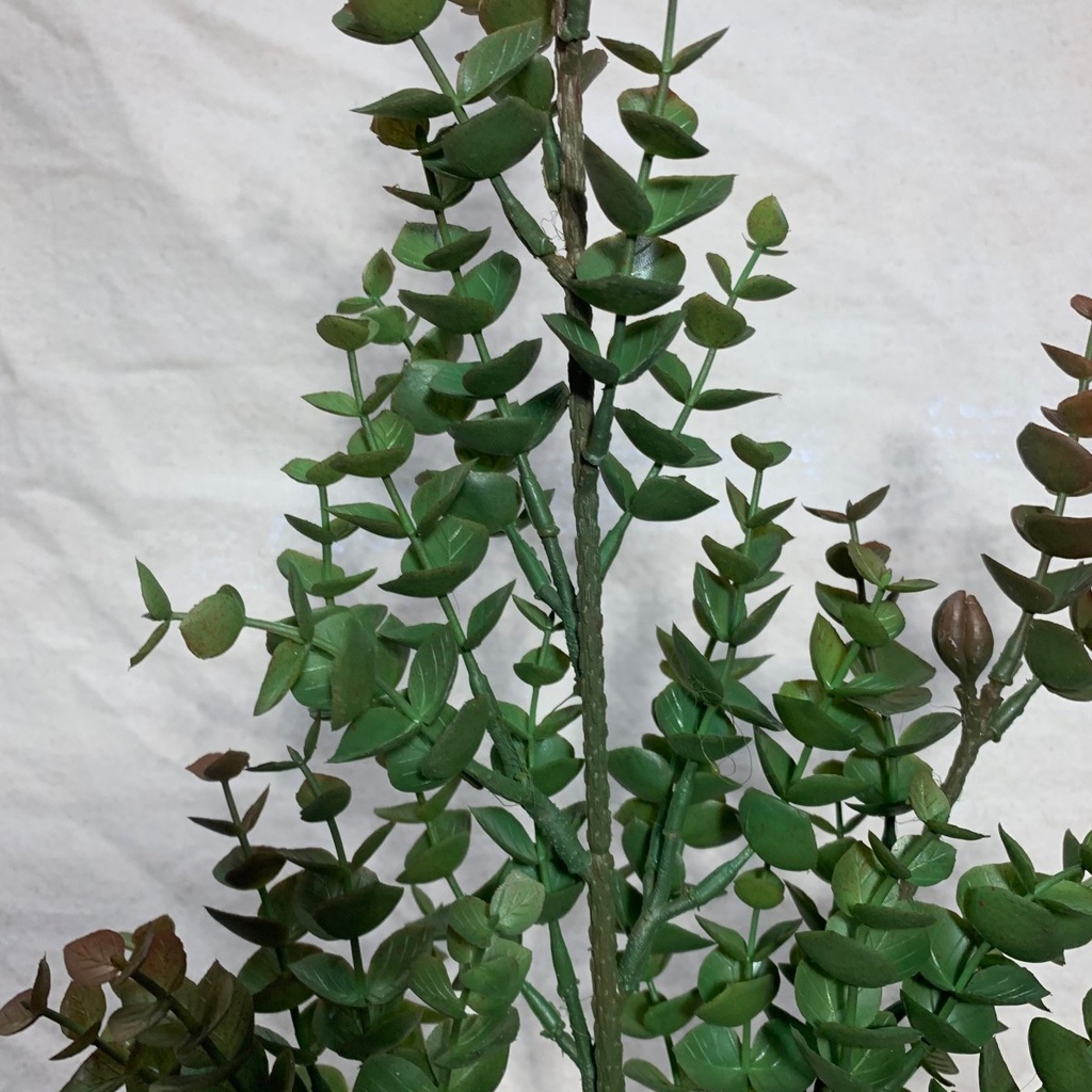 31.5&quot; EUCALYPTUS STEM RED/GREEN
