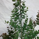 31.5&quot; EUCALYPTUS STEM RED/GREEN