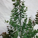 31.5" EUCALYPTUS STEM RED/GREEN