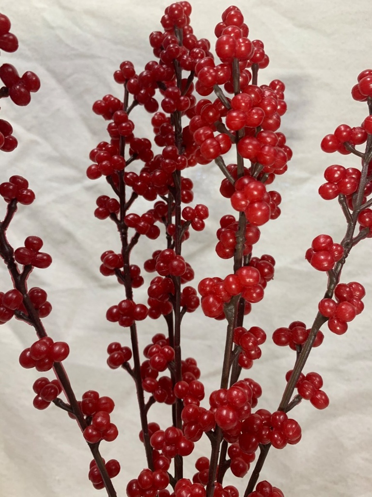 18" O/D BERRY BUSH X7 RED