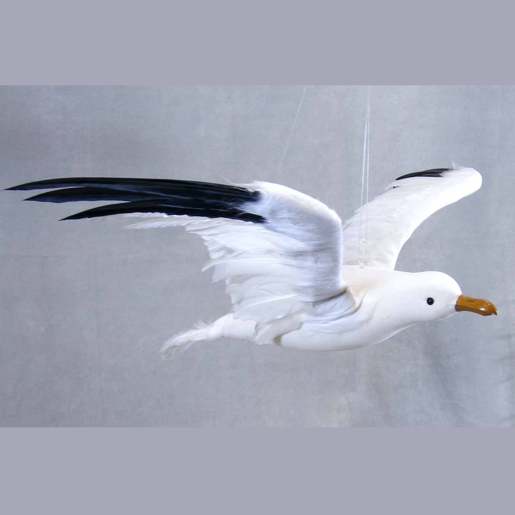 SEAGULL 14" x 30" FEA/FLOCKED