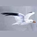 SEAGULL 14&quot; x 30&quot; FEA/FLOCKED