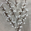 19" WHITE BERRY SPRAY