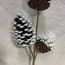 24" WHITE PINECONE SPRAY X3