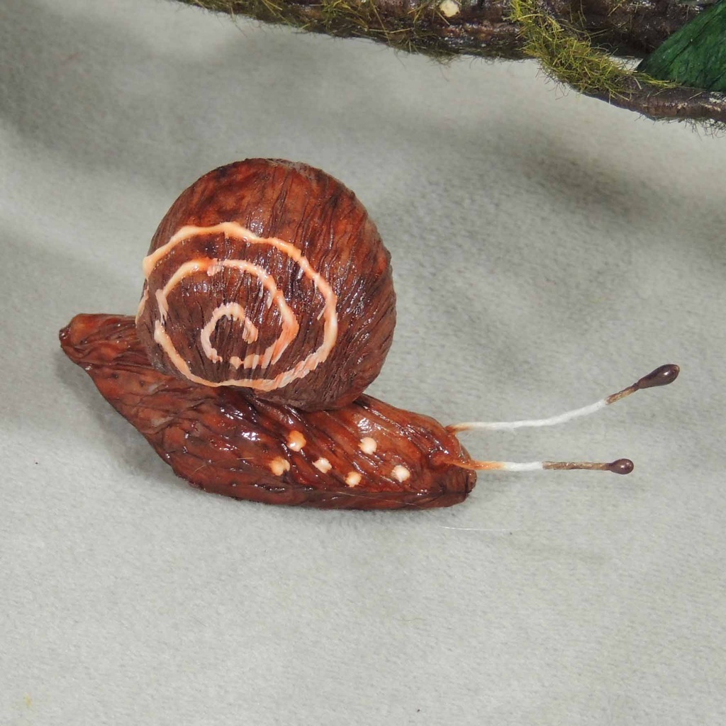 SNAIL 2" 4-ASSORTED