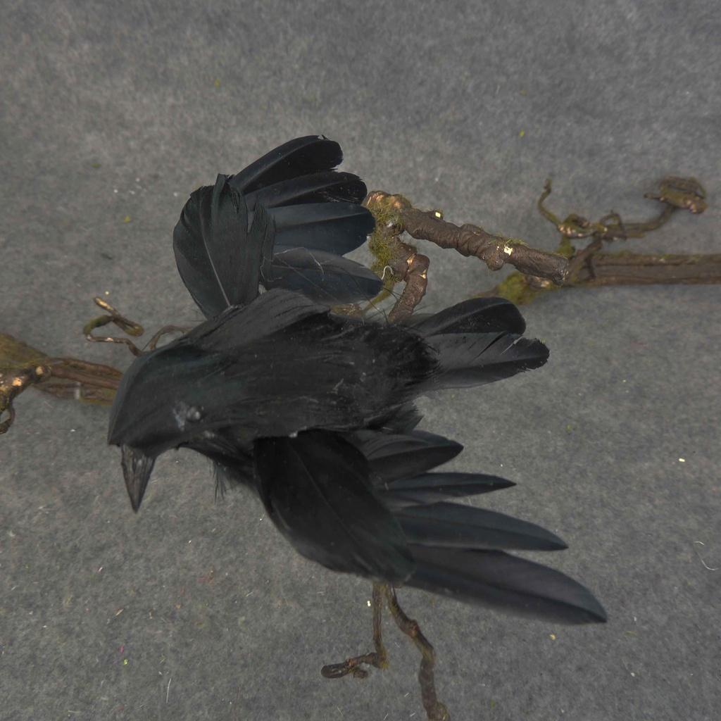 CROW 4&quot; FLYING FEATHER  (INDIVIDUAL)