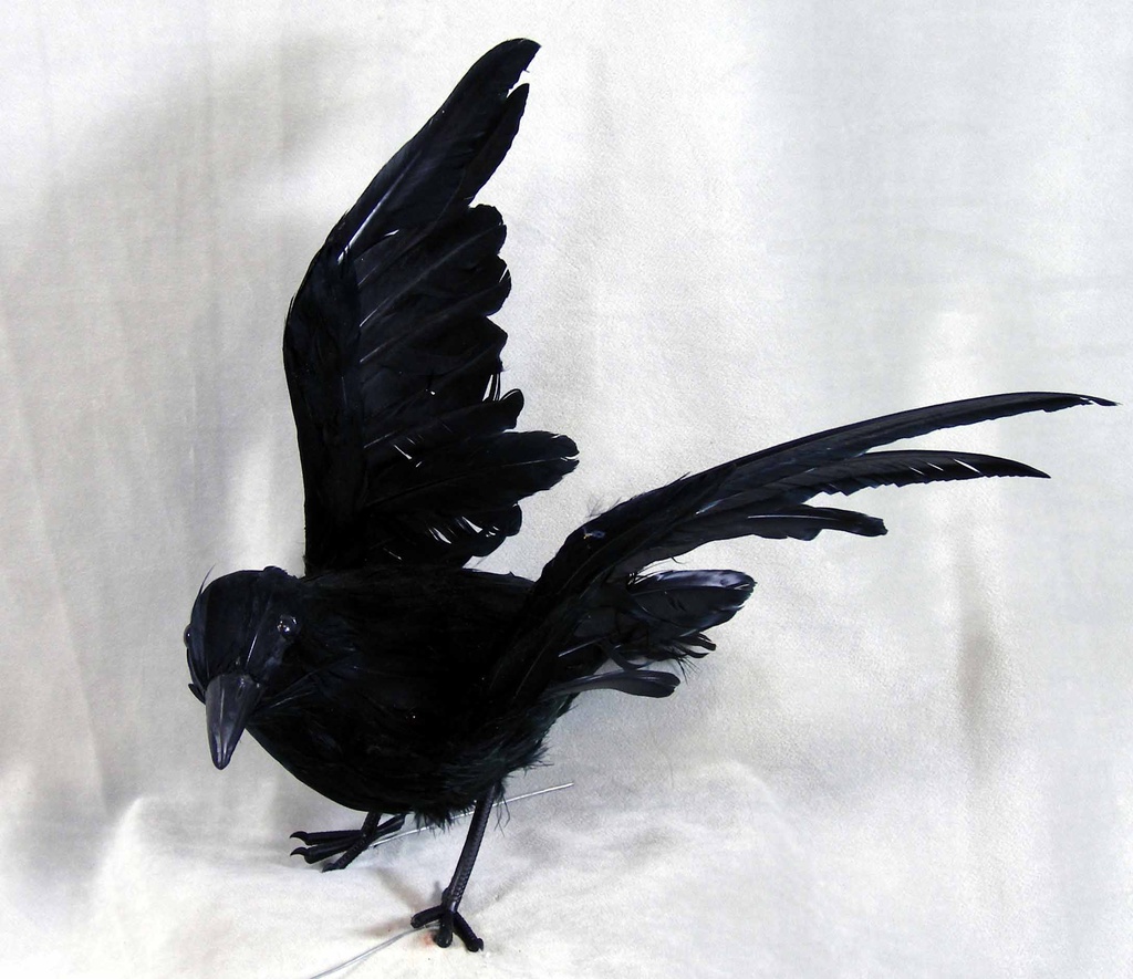 CROW 10" FLYING FEATHER