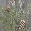 16" MIXED PINE PICK W/ CONES