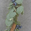 5' EUCALYPTUS/PINE GARLAND W/ CONES & BLUE BERRIES