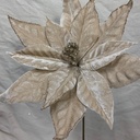 20" VELVET POINSETTIA PICK CHAMPAGNE