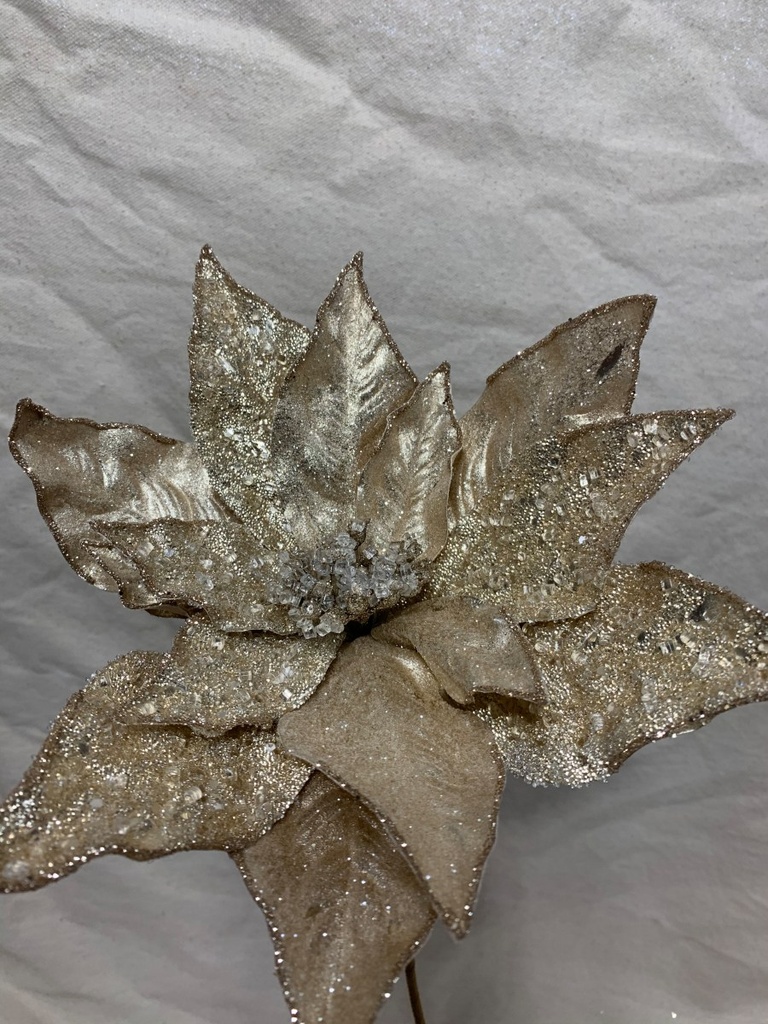 20" GLITTER POINSETTIA PICK CHAMPAGNE