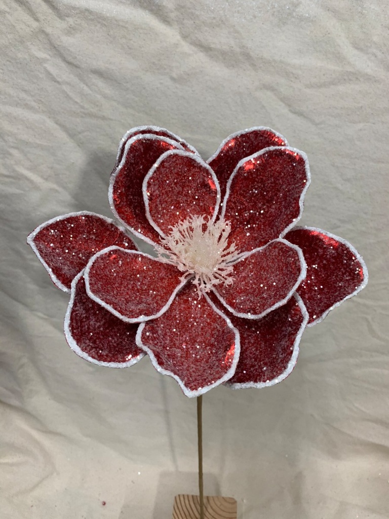 20" METALLIC MAGNOLIA PICK W/ FROST RED