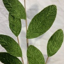 29" MAGNOLIA LEAF SPRAY GREEN