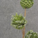 13" PINECONE PICK X3 W/ ICE GREEN