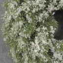 16&quot; SNOWY PINE WREATH