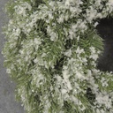 16" SNOWY PINE WREATH