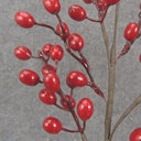 25&quot; SMALL BERRY SPRAY X6 RED