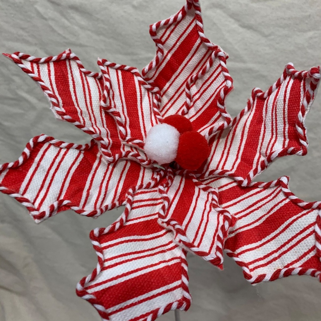 21" CANDYCANE POINSETTIA PICK RED/WHITE