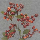 BERRY SPRAY X4 22&quot; W/LEAVES  BURGUNDY/ORANGE