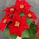 15" VELVET RED POINSETTIA BUSH X7