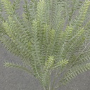 21" GRASS FERN BUSH X7