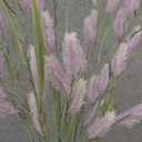 22&quot; VERBENA GRASS BUSH LAVENDER